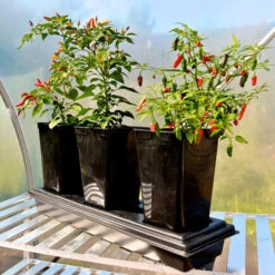 Triplegrow Planter Chillegrow -XIKI Garden Shop image 83435