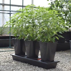 Triplegrow Planter Chillegrow -XIKI Garden Shop image 83438