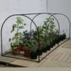Haxnicks Grower Frame