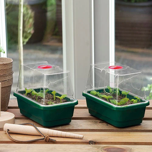 Fab4 Propagator 2 Fab4 Propagator - Image 2