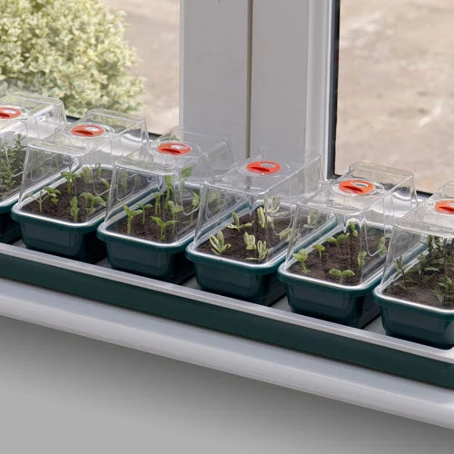 Window Sill Propagator 1 Window Sill Propagator