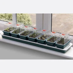 Window Sill Propagator 11 Window Sill Propagator -XIKI Garden Shop image 86966