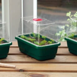 Window Sill Propagator 8 Window Sill Propagator -XIKI Garden Shop image 86969