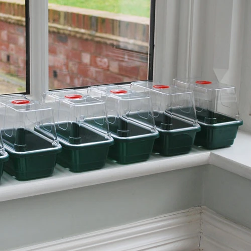 Window Sill Propagator 2 Window Sill Propagator - Image 2