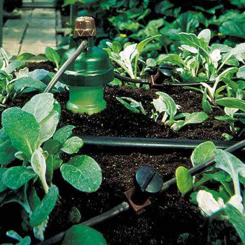 Tropf Blumat In Line Drippers 4 Tropf Blumat In Line Drippers - Image 4