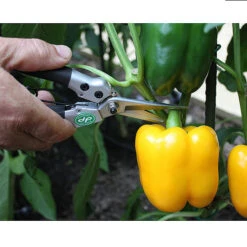 Darlac Compact Snips 8 Darlac Compact Snips -XIKI Garden Shop image 88939