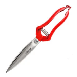 Perennial Shears 5 Perennial Shears -XIKI Garden Shop image 88987