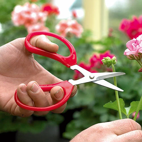 Darlac Gardeners Scissors 1 Darlac Gardeners Scissors
