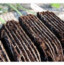 Rootrainers -XIKI Garden Shop image 91392