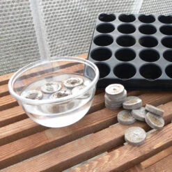 Jiffy 7 Pellets -XIKI Garden Shop jb4