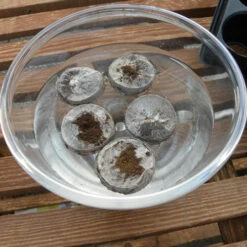 Jiffy 7 Pellets -XIKI Garden Shop jb5