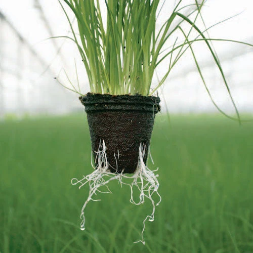 Jiffy Pots 2 Jiffy Pots - Image 2