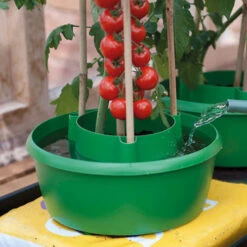 Plant Halos -XIKI Garden Shop plh5 1