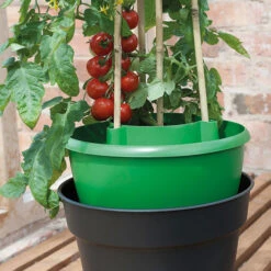 Plant Halos -XIKI Garden Shop plh7 1