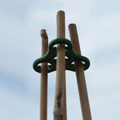 Plant Halos -XIKI Garden Shop plh8 1