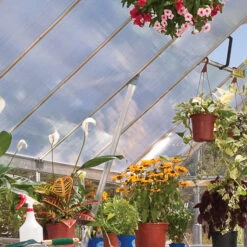 Palram Canopia Balance 8x12 Greenhouse 13 Palram Canopia Balance 8x12 Greenhouse -XIKI Garden Shop prbal8124