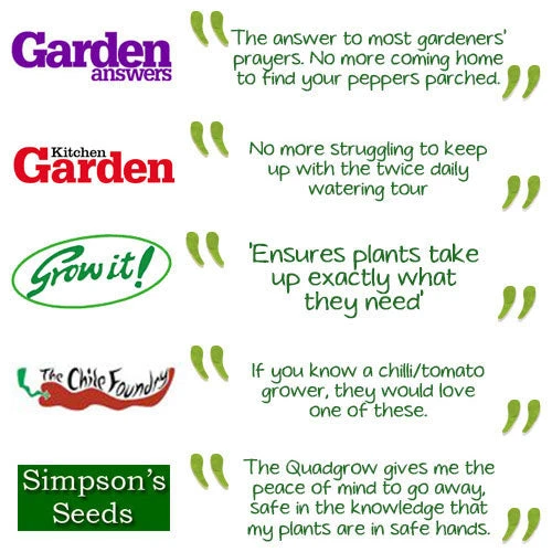 Quadgrow Planter 7 Quadgrow Planter - Image 7