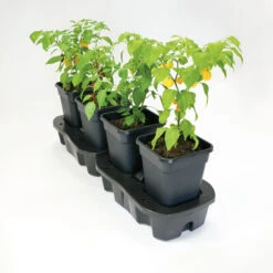 Quadgrow Planter 12 Quadgrow Planter -XIKI Garden Shop qgp2 1 2