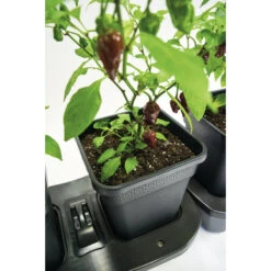 Quadgrow Planter 13 Quadgrow Planter -XIKI Garden Shop qgp3 4