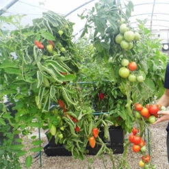 Quadgrow Planter 15 Quadgrow Planter -XIKI Garden Shop qgp9 3