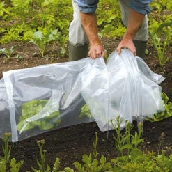 Tunnel Cloche 18 Tunnel Cloche -XIKI Garden Shop tc4 1