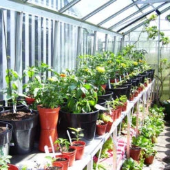 Two Tier Standard Up Staging 16 Two Tier Standard Up Staging -XIKI Garden Shop usstt3