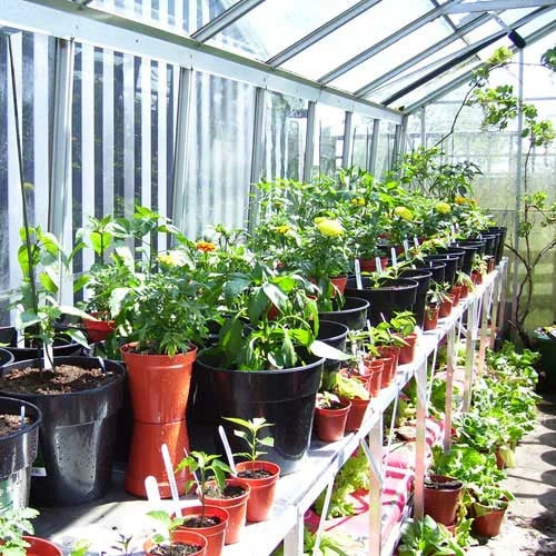 Two Tier Standard Up Staging 4 Two Tier Standard Up Staging - Image 4