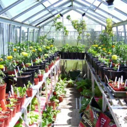 Two Tier Standard Up Staging 18 Two Tier Standard Up Staging -XIKI Garden Shop usstt7