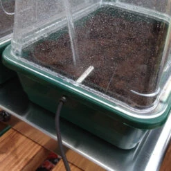 VariTemp Heated Propagator 13 VariTemp Heated Propagator -XIKI Garden Shop vthp5 2