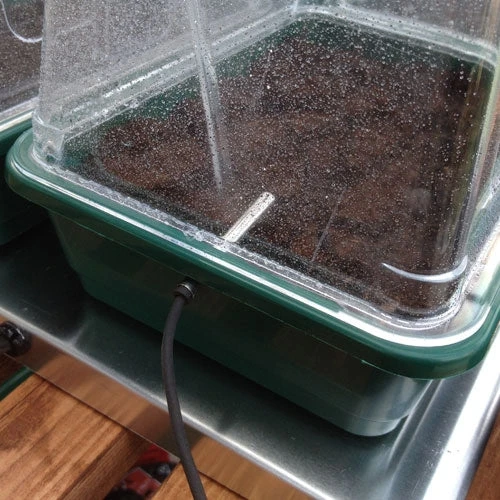 VariTemp Heated Propagator 6 VariTemp Heated Propagator - Image 6