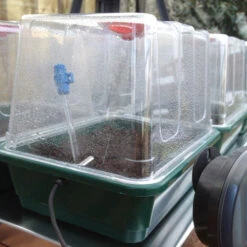 VariTemp Heated Propagator 15 VariTemp Heated Propagator -XIKI Garden Shop vthp8 2