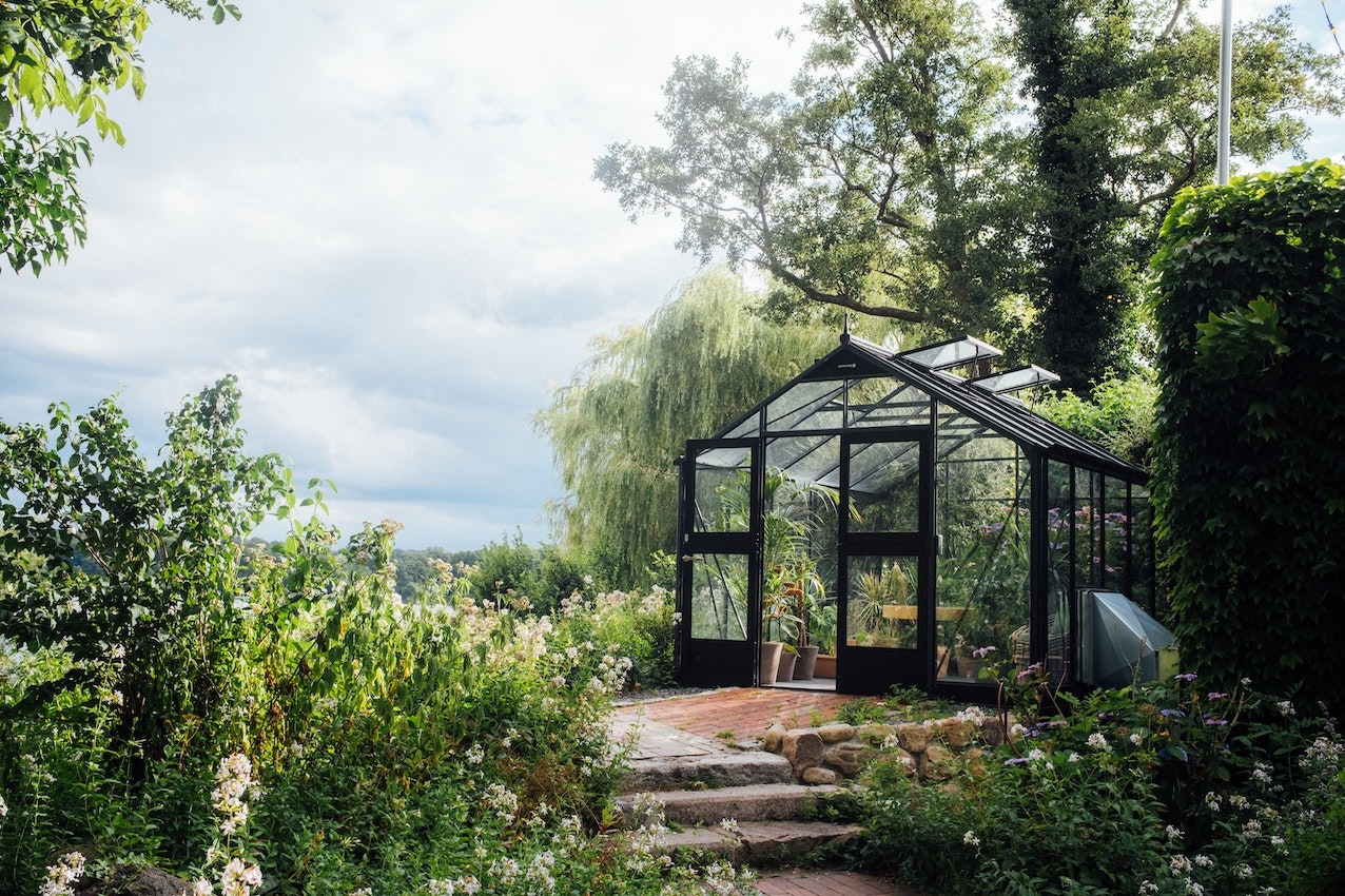 Front Page 2 Front Page -XIKI Garden Shop pexels filipp romanovski 1328677